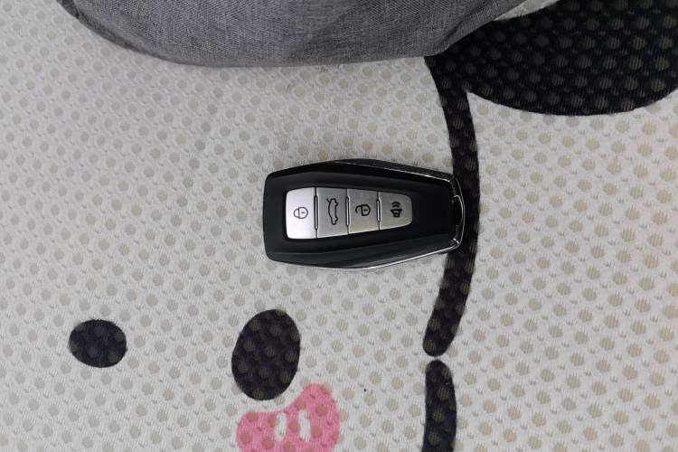 Used Geometry E Firefly 2023 401KM Linglong Tiger 5-Seater Vehicle Key