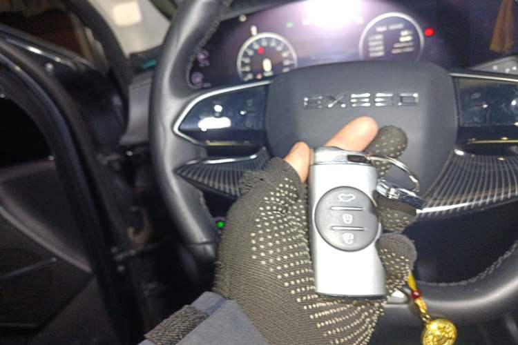 Used EXEED Lingyun 2024 300T Two-Wheel Drive Starlight Edition
