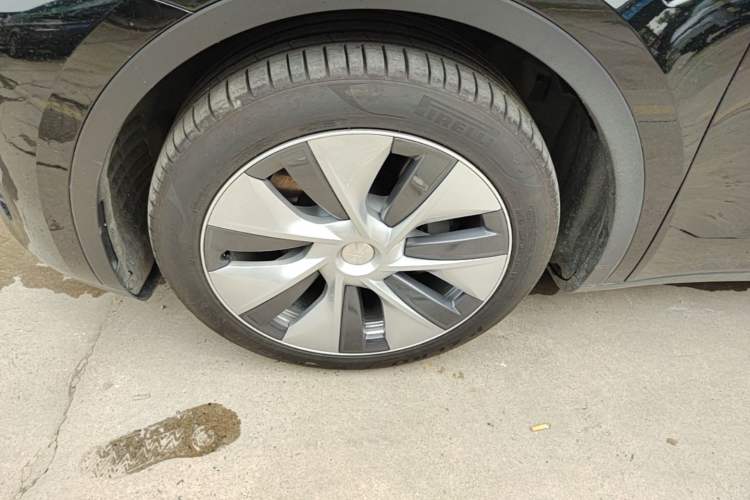 Used Tesla Model Y 2021 Standard Range Rear-Wheel Drive Version