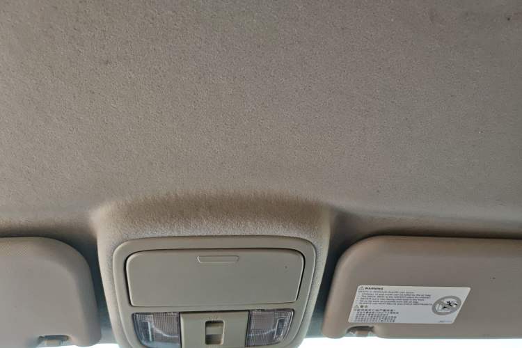 Used JMC Yuhu EV 2022 4x2 LX JX1032PSEF5BEV Headliner