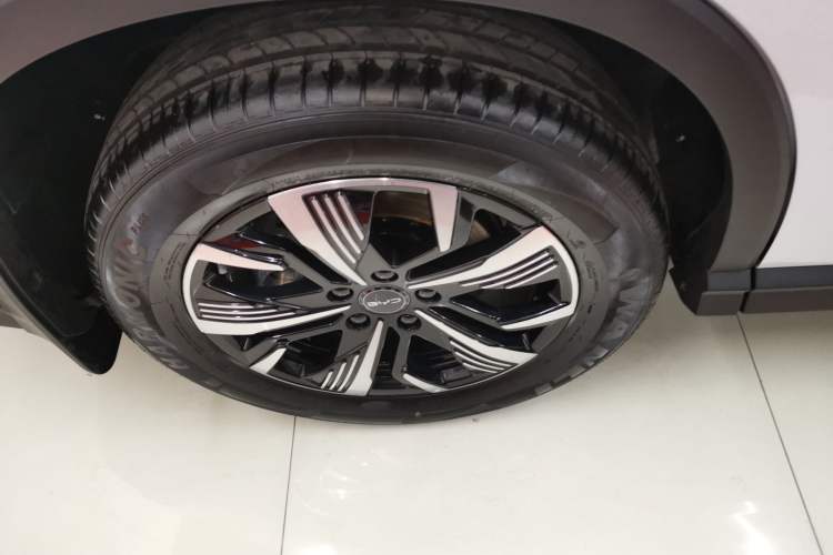 Used BYD Sealion 05 DM-i 2025 DM-i 75KM Luxury Model Exterior 8