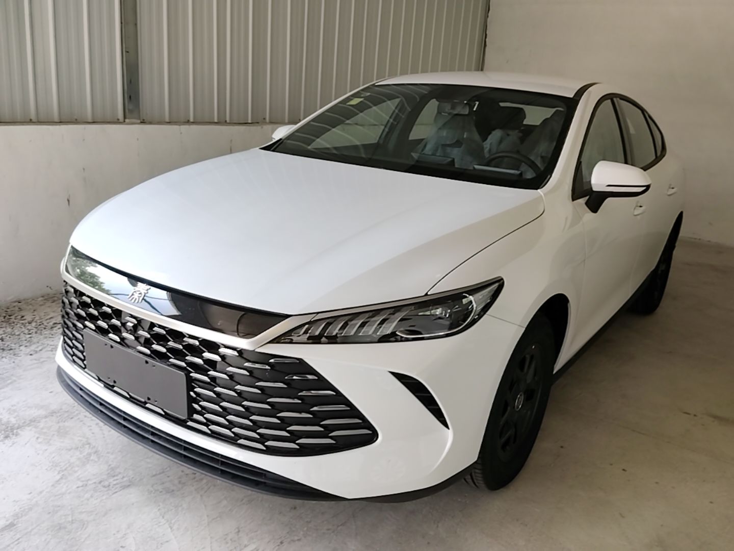 Under Front Bumper