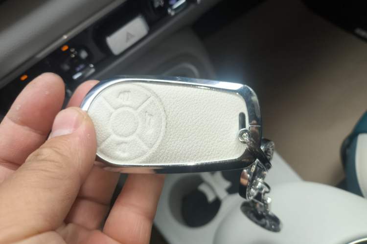 Used ORA Good Cat 2023 401 km Standard Range Luxury Version Lithium Iron Phosphate
