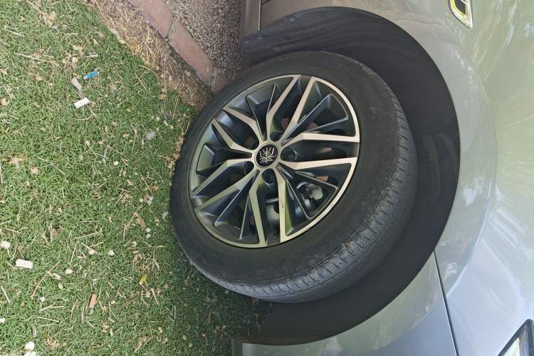 Used BYD Qin PLUS 2023 Champion Edition DM-i 120KM Leading Model
