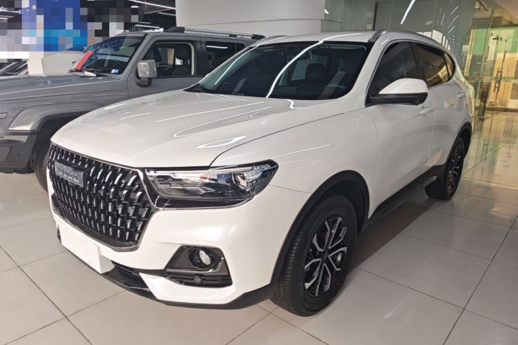 Used Haval H6 2023 National Trend Edition 1.5T Automatic Urban Version