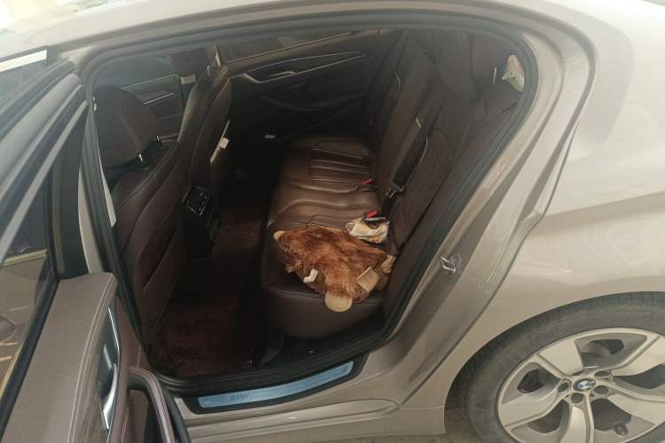 Used BMW 5 Series New Energy 2020 Mileage Upgrade Version 530Le Luxury Package
