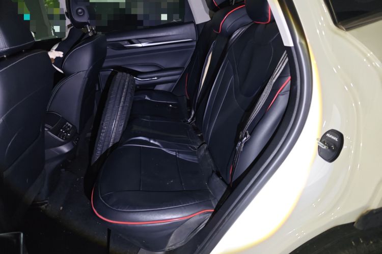 Used Haval H6 2021 3rd Generation 1.5T Automatic Two-Wheel-Drive Supreme Left Rear Seat