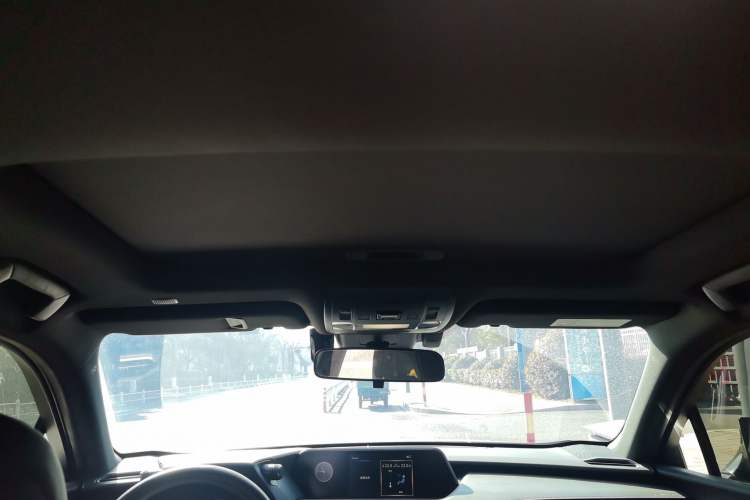 Used Lexus UX New Energy 2020 300e Pure·Joy Edition