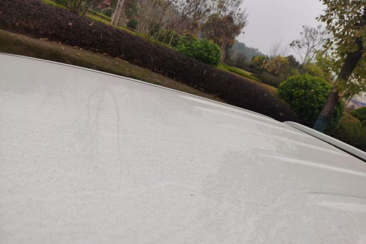 Used Great Wall Wingle 5 2021 2.0T Diesel Two-Wheel Drive Elite Version Big Double Cab China VI Standard GW4D20M