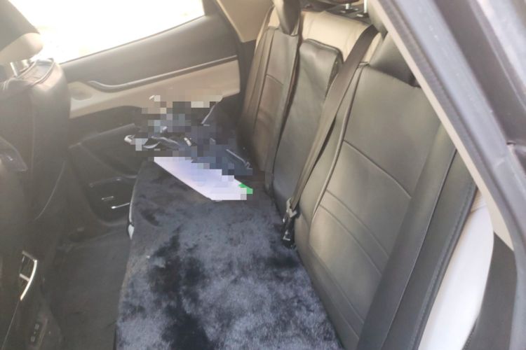 Used Chery New Energy eQ7 2023 512km Pro Left Rear Seat