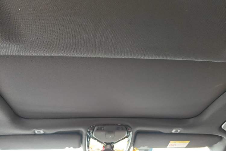 Used BMW 5 Series 2020 530Li Leading Model M Sport Package Headliner