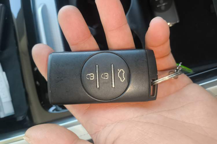 Used EXEED Lingyun 2024 300T Two-Wheel Drive Starlight Edition
