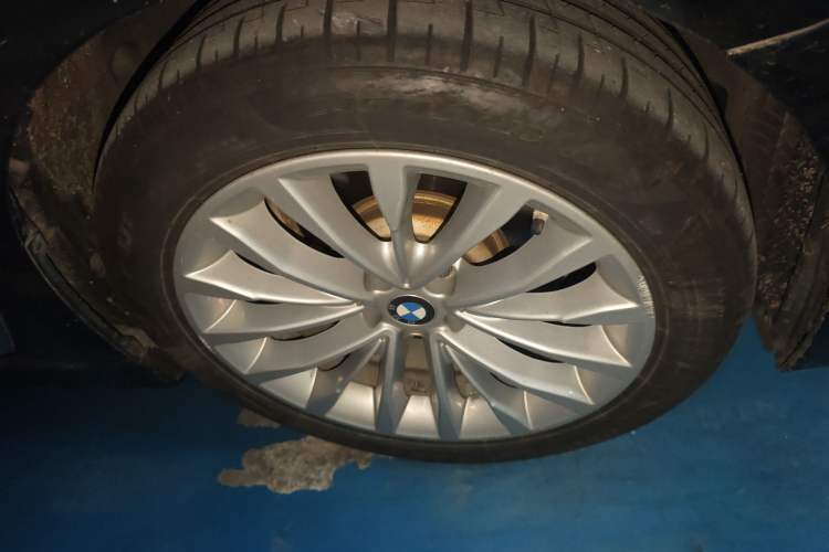 Used BMW 5 Series New Energy 2020 530Le Luxury Package