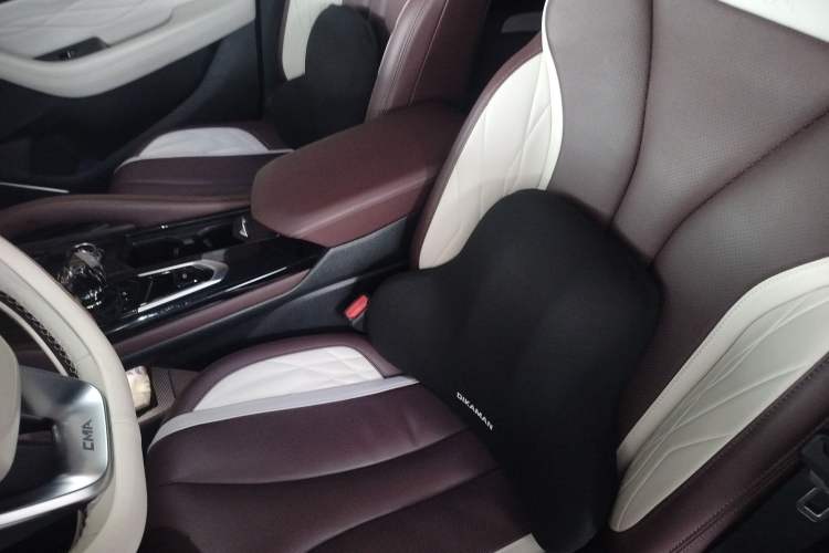 Used Geely Auto Monjaro L 2021 2.0TD DCT EVO Two-Wheel Drive Smart Luxury Version Left Front Seat