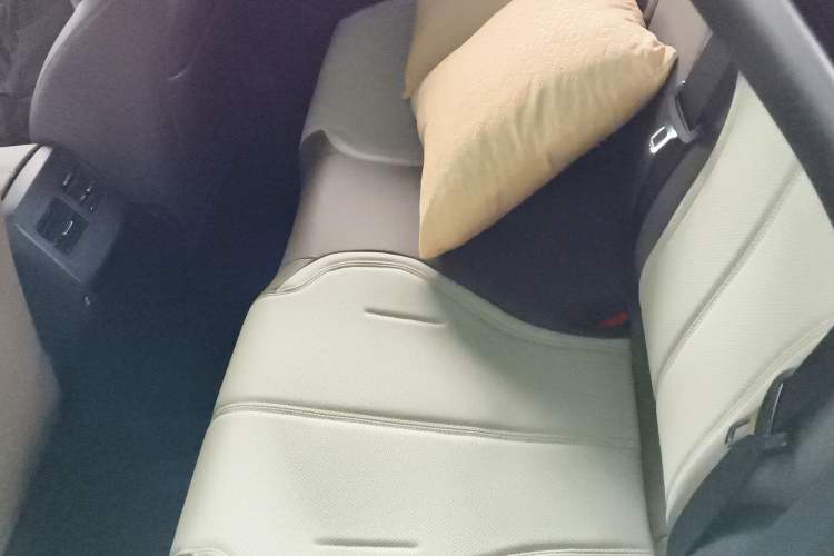 Used BYD Qin PLUS 2023 Champion Edition DM-i 55KM Leading Model Left Rear Seat