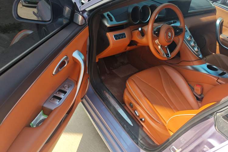 Used ORA Lightning Cat 2022 555 km Luxury Edition Driver Seat