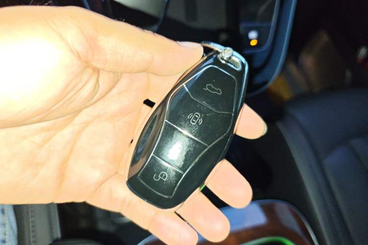 Used Hongqi HQ9 2023 2.0T Smart Connect Flagship Edition
