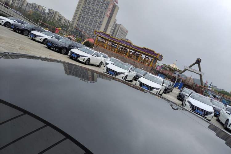 Used Tesla Model 3 2020 Revised Version Standard Range Rear-Wheel Drive – Upgraded Edition Roof