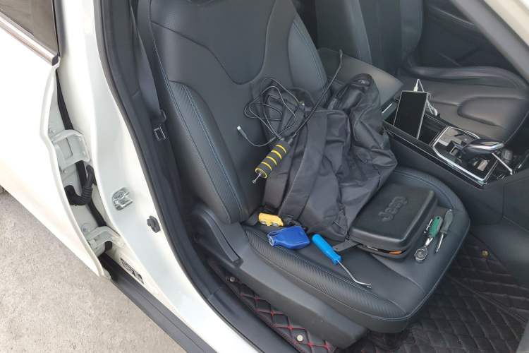 Used Venucia Venucia D60EV 2022 Standard Range T3