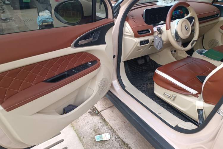 Used ORA Good Cat 2022 Morandi Edition 400km Standard Range Luxury Version Lithium-Ion Battery