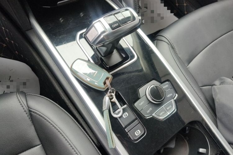 Used Haval H6 2018 Blue Label Sport Edition 1.5T Automatic Two-Wheel Drive Prestige Model
