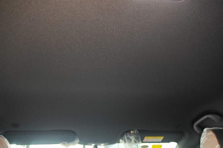 Used BYD Dolphin 2025 420km Free Edition Headliner