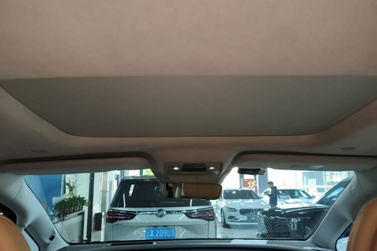 Used Denza D9 2022 DM-i 970 Four-Wheel Drive Flagship Model Headliner