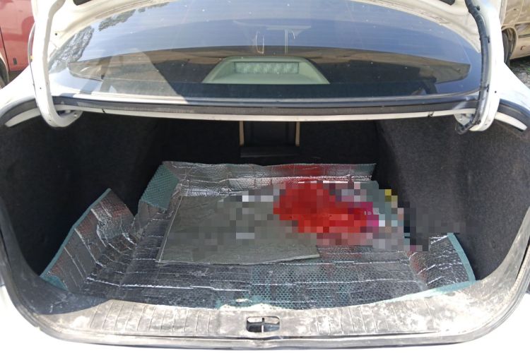 Used Dongfeng Junfeng E11K 2019 Standard Model
