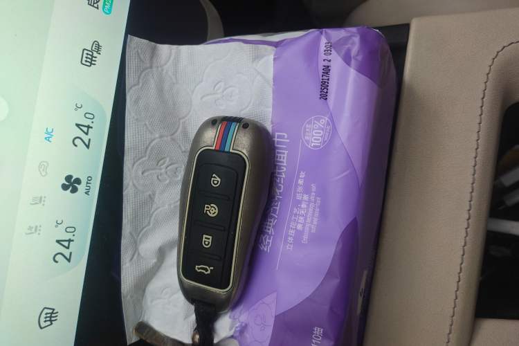 Used XPeng G3 2019 Deluxe Edition
