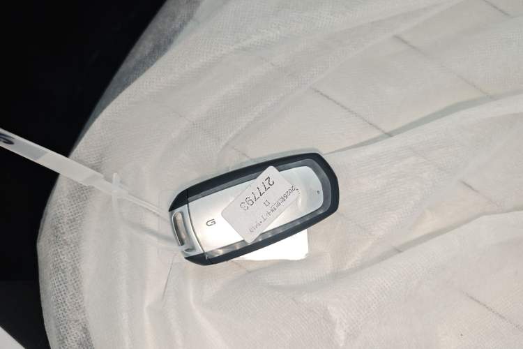 Used Geely Galaxy Panda 2025 210km Panda Kart
