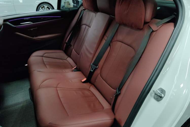 Used BMW 5 Series 2020 530Li Leading Model M Sport Package Left Rear Seat