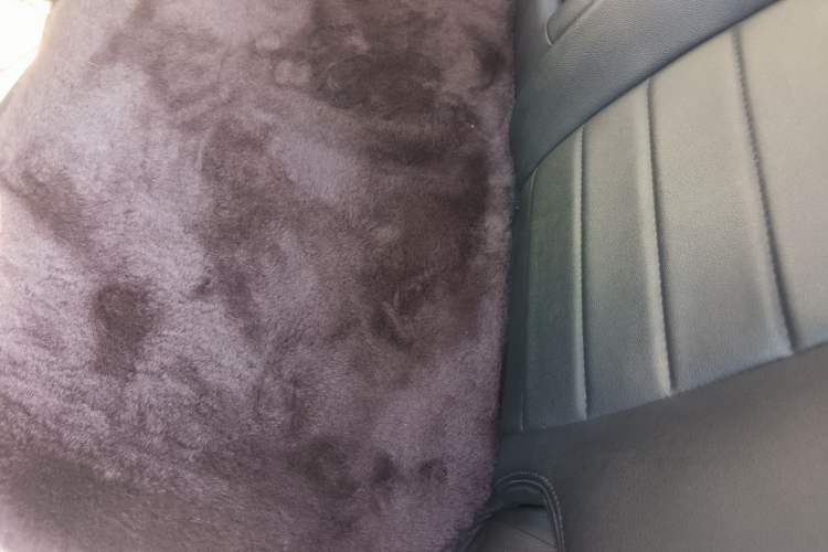 Used Kia Sportage R 2016 2.0L Automatic Two-Wheel Drive GL Left Rear Seat