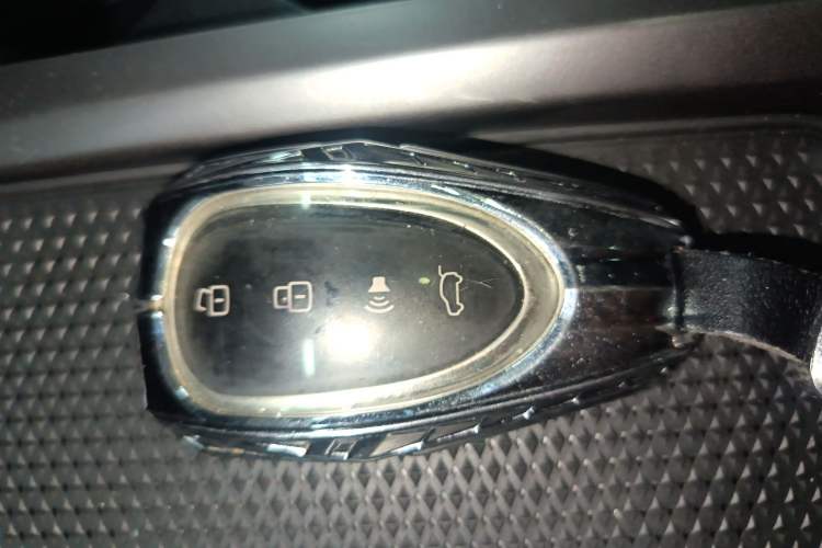 Used Wey Lanshan 2023 Four-Wheel Drive Ultra-Long Range Version
