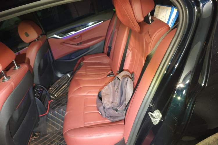 Used BMW 5 Series 2020 530Li Leading Model M Sport Package Left Rear Seat