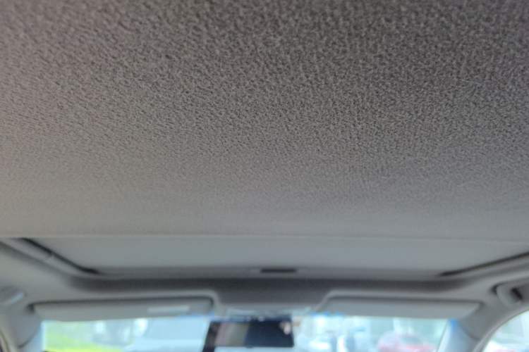 Used Toyota Camry 2008 240G Luxury Edition Headliner