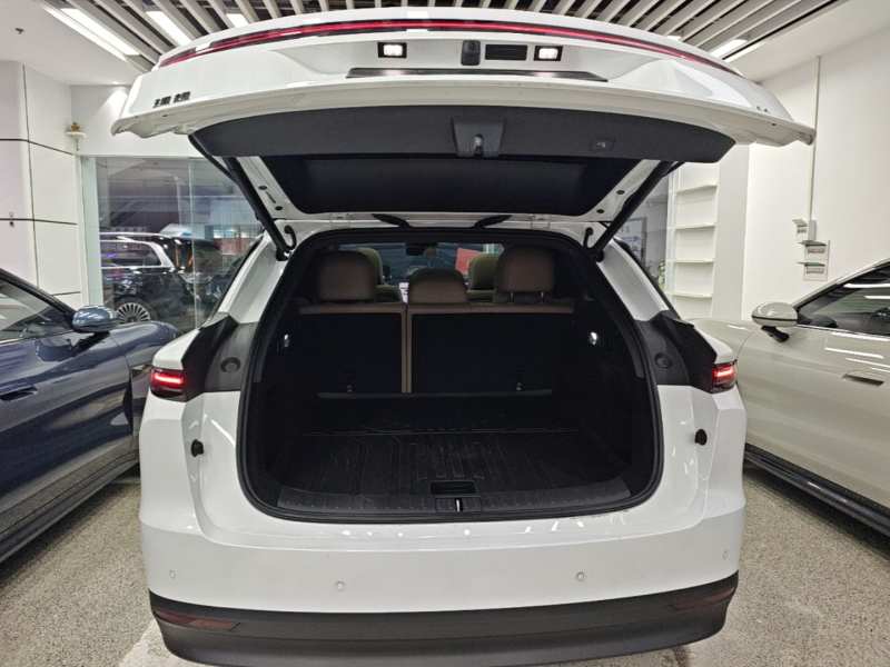 Used Li Auto i6 2025 Model Two-Wheel-Drive Standard Type — 18