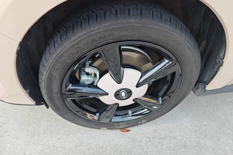 Used ORA Good Cat 2024 401 km Luxury Version