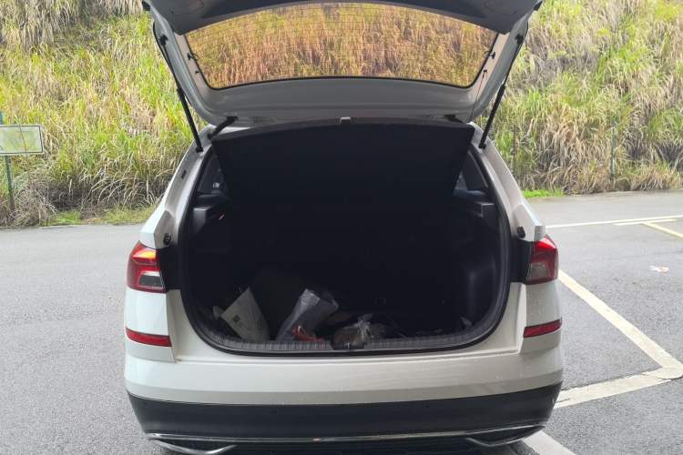 Used Skoda Kamiq 2018 1.5L Automatic Comfort Edition China VI Standard