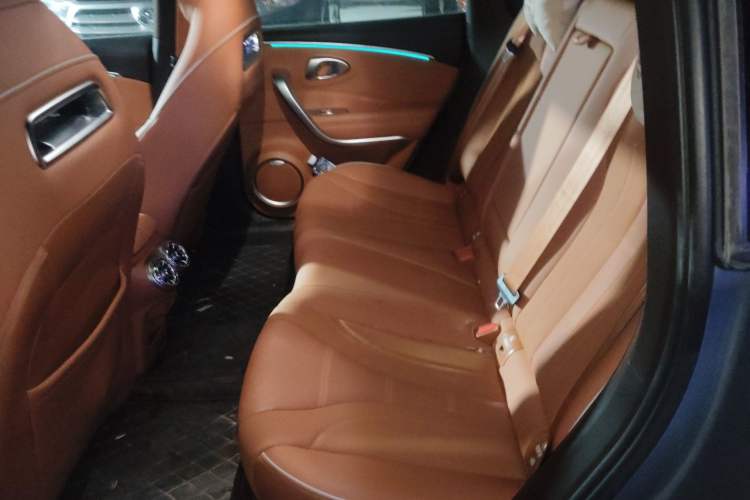 Used ORA Lightning Cat 2022 555 km Luxury Edition
