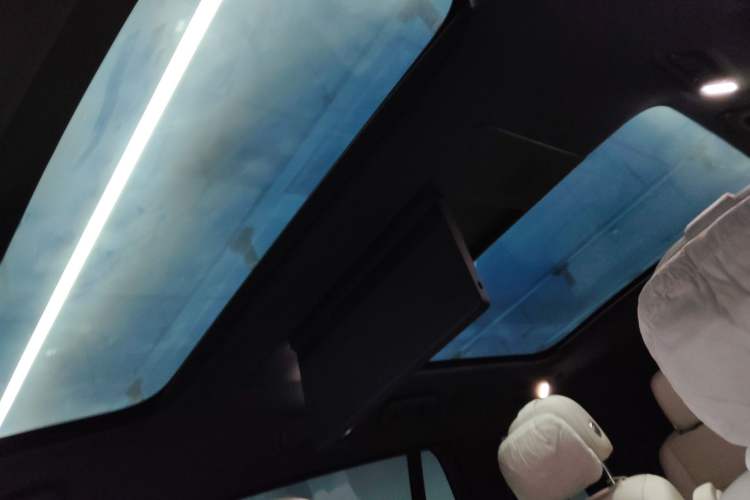 Used Li Auto L9 2022 Max model Headliner