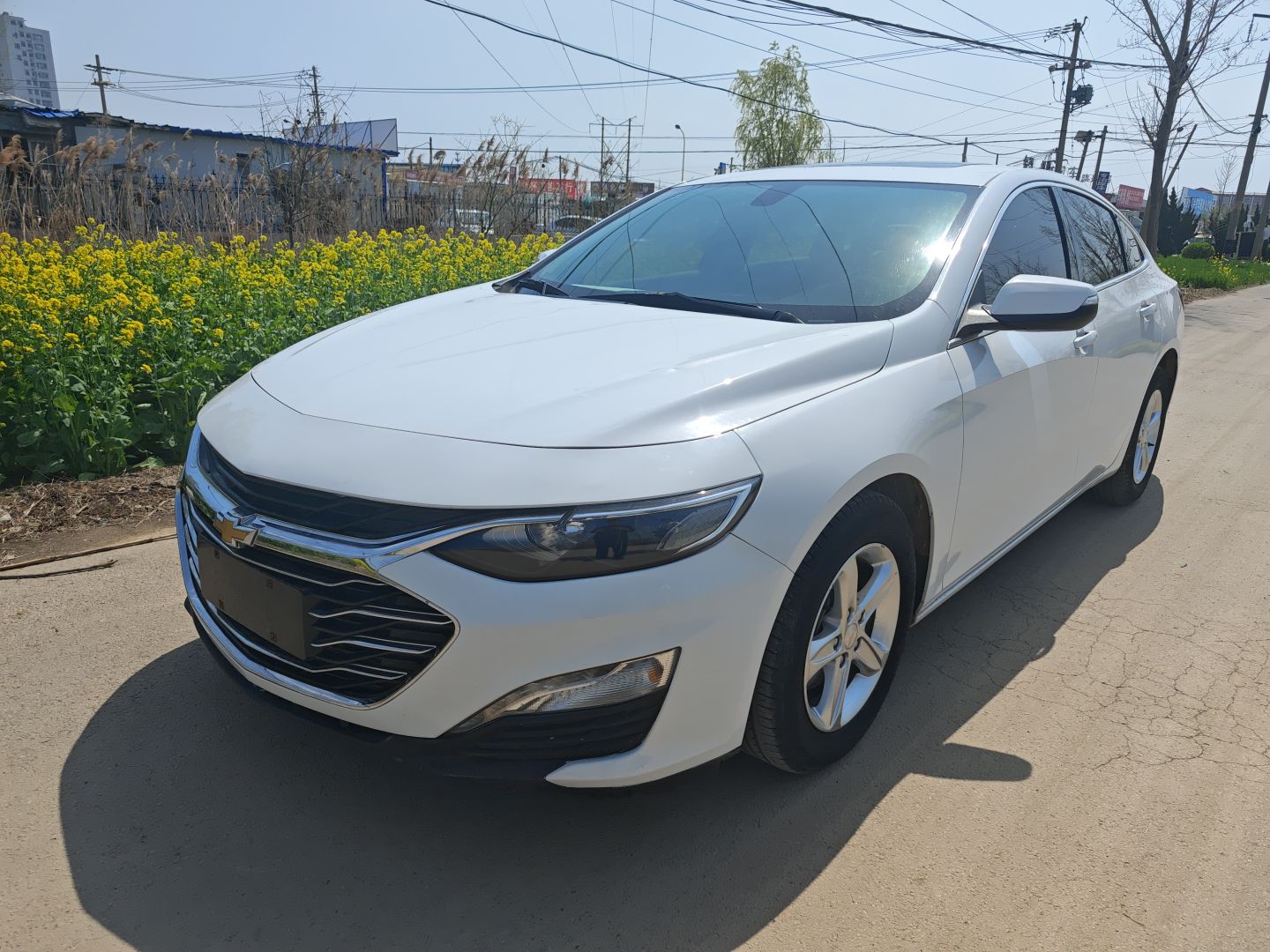 Parte inferior delantera