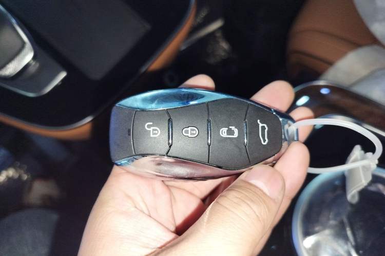 Used Hongqi HQ9 2023 2.0T Smart Connect Flagship Edition