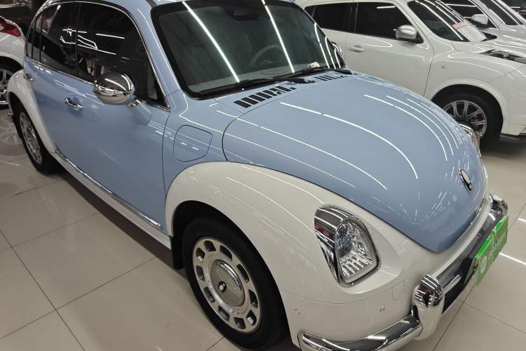 Used ORA Ballet Cat 2022 401 km Nutcracker Edition