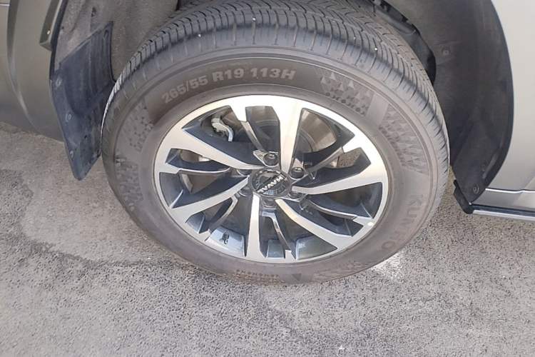 Used Haval H9 2024 2.0T Gasoline All-Wheel-Drive Extreme Edition
