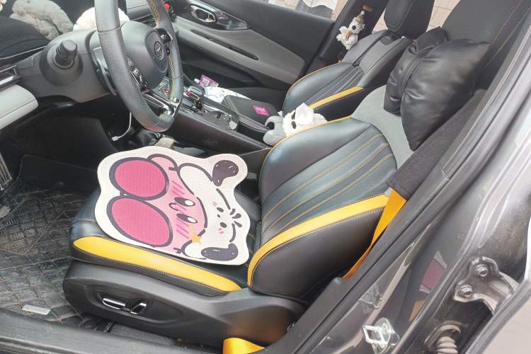 Used GAC Trumpchi EMPOW 2023 270T DCT J15 Version Left Front Seat