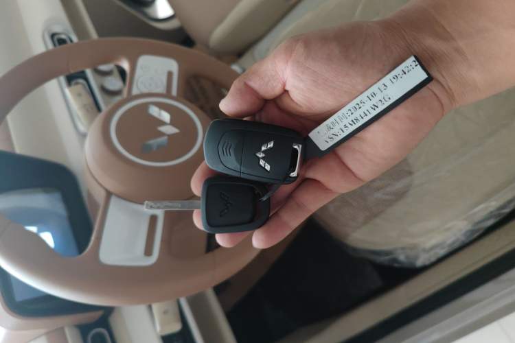 Used Wuling Hongguang MINIEV 2024 3rd Generation 215km Youth Edition