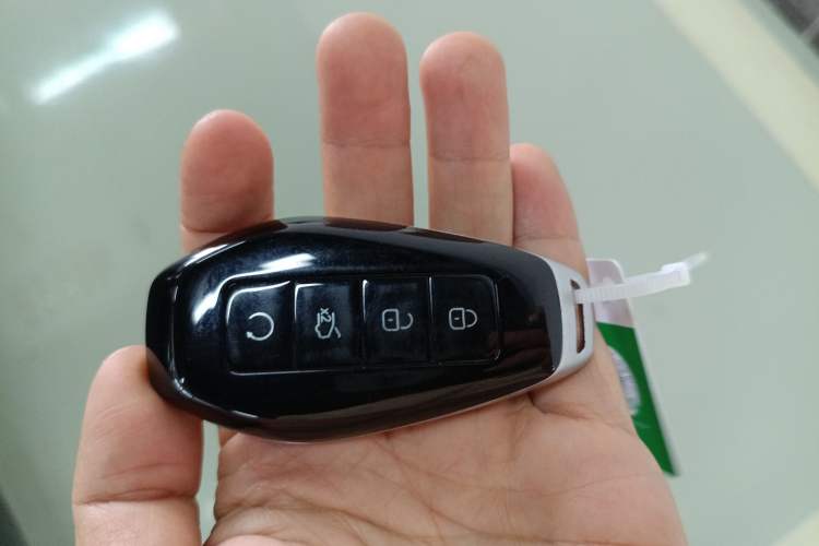 Used Denza Z9 2024 1100 km Four-Wheel Drive Max Version Vehicle Key