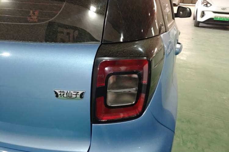 Used SOL E10X 2023 Anniversary Edition 301km Starry Sky 45kW
