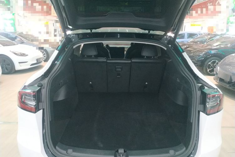 Used Tesla Model Y 2021 Standard Range Rear-Wheel Drive Version