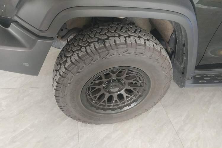 Used Tank 300 2025 2.0T Conqueror
